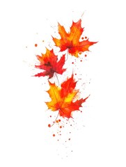 Fototapeta premium Watercolor painting of three maple leaves on white background