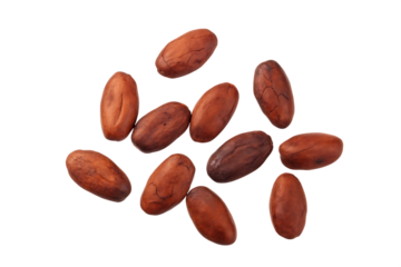 cacao beans isolated on white background PNG