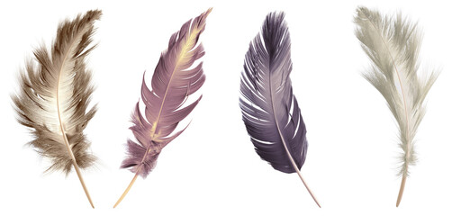 A collection of four elegant feathers in various soft colors, isolated on a transparent background.