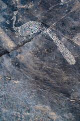 Musandam Peninsula, Oman, 03-06-2025: pre-Islamic Petroglyphs on Jebel Al Harim mountains, ancient rock carvings into the rugged landscape, the artistic expression of the region's early inhabitants