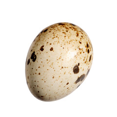 one quail egg isolated on white background PNG