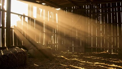Sunlight streams through the cracks in a rustic barn illuminating hay bales. Warm golden light effect for agriculture and farming industry concept and film. - Powered by Adobe