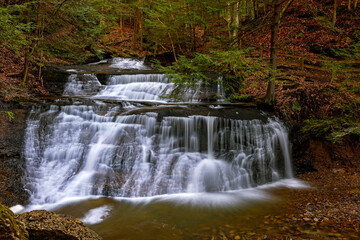 Fototapeta premium waterfall in the forest
