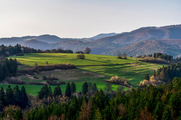 Naklejka premium mountain landscape in the morning in summer