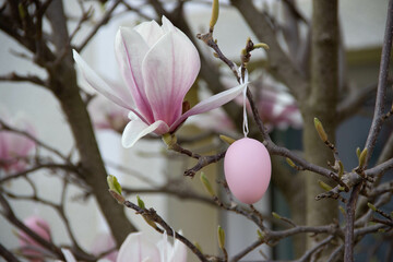 Easter egg surrounded by magnolia flowers and a woven wreath of vines