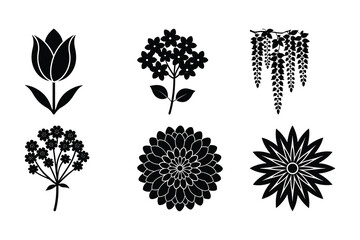 Elegant Black and White Floral Illustrations Six Unique Flower Designs