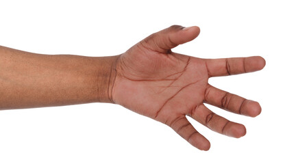 Taking black hand isolated on white background. African american palm holding mobile phone, ban, glass or other, copy space