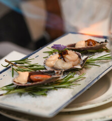 Fresh raw scallops with rosemary on a white plate.