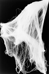 Abstract monochrome image of a large, delicate, tangled web.  Intricate strands of spun material, seemingly voluminous, against a stark black background.  A textured, almost sculptural, presentation