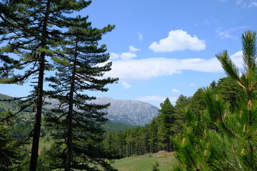 Melikler Plateau and Dedegol Mountain landscape photo