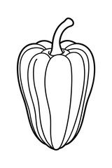 vector illustration of pepper