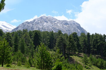 Fototapeta premium Melikler Plateau and Dedegol Mountain landscape photo