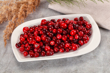 Ripe sweet sour cranberry heap
