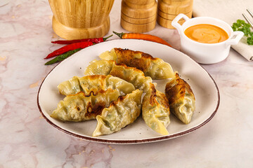 Japanese fried Gyoza stuffed dumplings