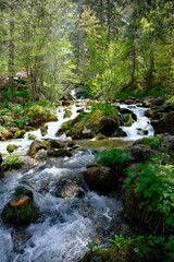 Pınargozu cave and stream photo