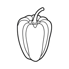 vector illustration of pepper