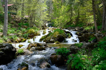 Fototapeta premium Pınargozu cave and stream photo