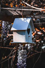 White wooden birdhouse with heart-shaped entrance hanging among vines and blossoms in soft light, creating a romantic and rustic atmosphere in a peaceful garden setting