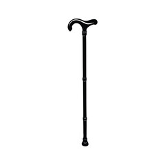 walking stick