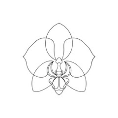 Elegant black and white illustration of a beautiful orchid flower presented in a simple continuous line drawing