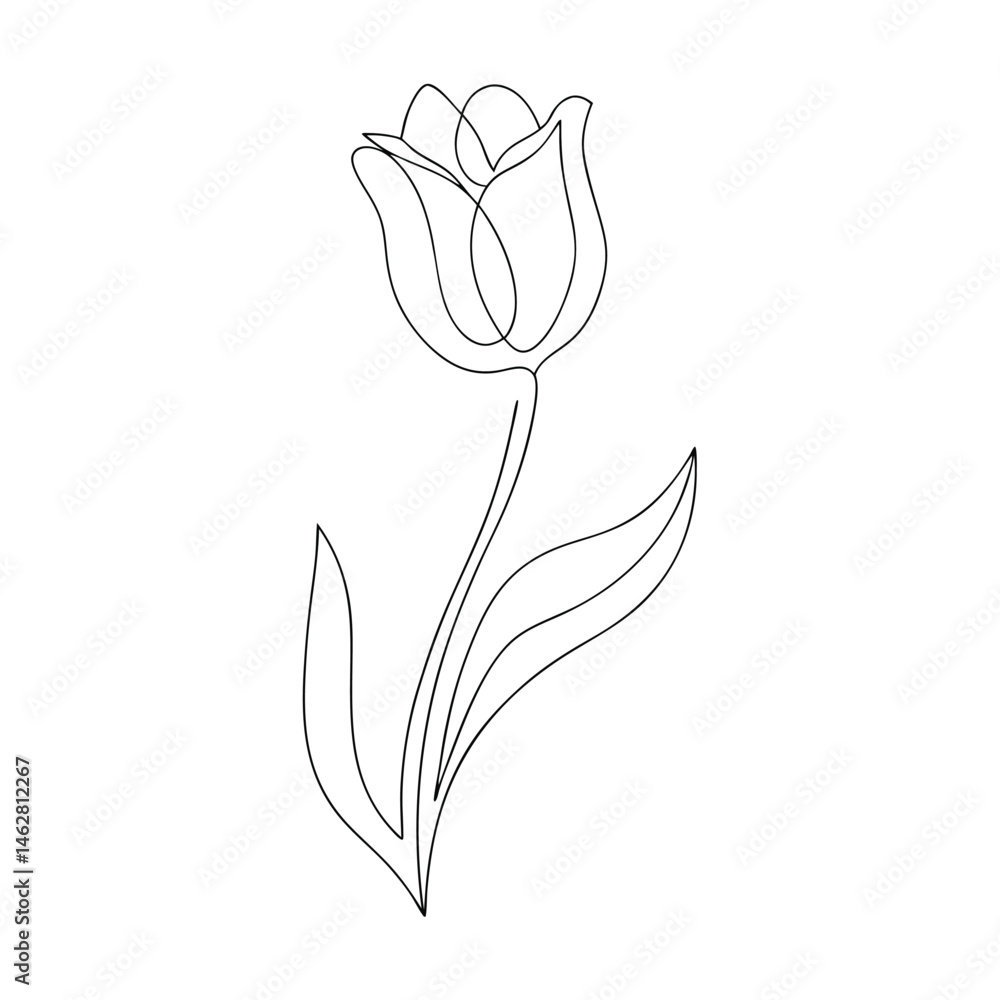 Poster minimalist elegant continuous line drawing of a tulip flower with simple design and delicate floral 