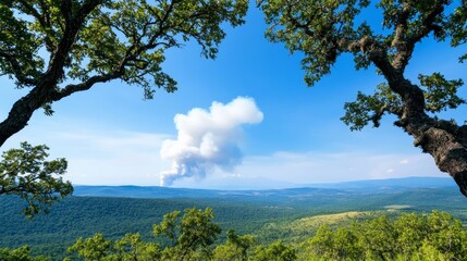 Obraz premium Smoke Plume Over Horizon Through Trees - A panoramic view of a vast forest landscape, framed by two majestic trees. A plume of smoke rises on the horizon, symbolizing change, distance, mystery