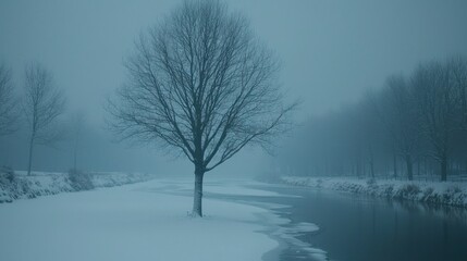 Misty winter canal scene