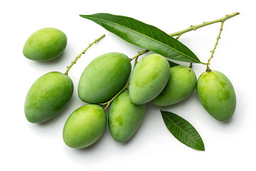 green mangoes cluster of unripe fruit image isolated on white