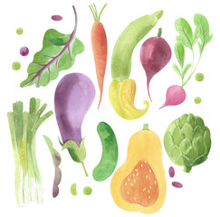 Watercolor  hand-drawn  vegetables.