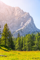 Majestic Prisank Mountain rises above a verdant meadow, framed by vibrant greenery in the Julian...