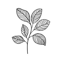 Leafy Stem. Stylized leafy stem in elegant monochrome line art, perfect for clean, modern compositions, packaging, or stationery design.