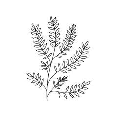 Botanical Leaf. Hand-drawn botanical leaf illustration with elegant line details, perfect for minimalistic nature-themed designs, tattoos, or herbal packaging.
