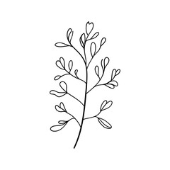 Delicate Flower Stem. Thin floral stem illustration with delicate buds and simple lines, ideal for greeting cards, stickers, or subtle feminine patterns.