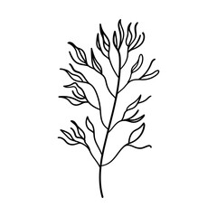 Botanical Leaf. Hand-drawn botanical leaf illustration with elegant line details, perfect for minimalistic nature-themed designs, tattoos, or herbal packaging.