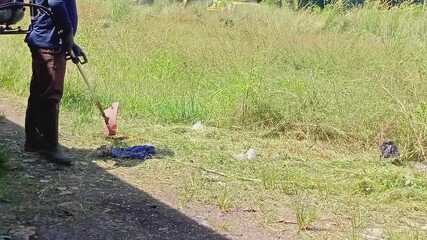 A middle-aged man cuts grass with a machine in a field - Bogor Indonesia, May 5, 2025 at 09:30 am