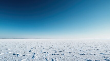 Winter landscape, clear sky, snow field, cold, serene scene, travel