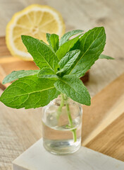 Fresh mint sprigs in a small glass bottle with water, placed on a wooden surface