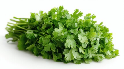 Fototapeta premium Fresh cilantro bunch isolated on white. (3)