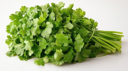 Fototapeta premium Fresh cilantro bunch on white background. (5)