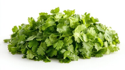 Fototapeta premium Fresh cilantro leaves pile isolated on white background.
