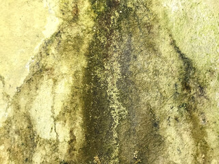 Detail of an old wall with water stains running down from the roof, fostering areas of green...