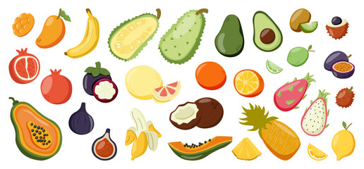 Summer tropical exotic fruit set. Collection of whole and sliced fruit including mango, banana, avocado, coconut, lychee, pomegranate, maracuja, papaya, pineapple and pitaya fruit. Vector illustration