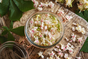 Preparation of homemade herbal tincture from horse chestnut flowers in a glass jar