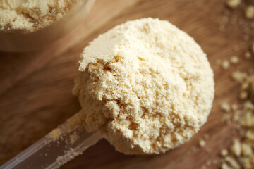 Whey protein powder in a measuring scoop, top view
