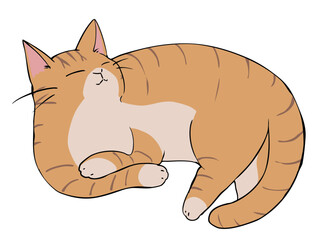 茶トラ ねこ ひじおき