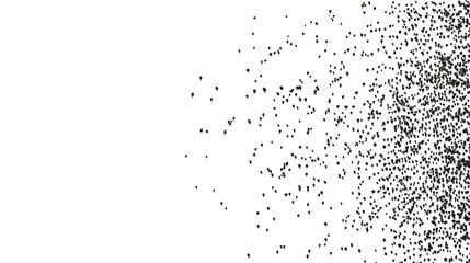 Obraz premium A scattering of poppy seeds centered on a solid white background, tiny seeds with crisp detail, natural lighting 