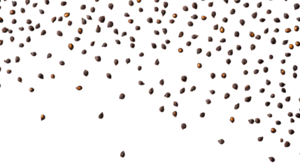 A scattering of poppy seeds centered on transparent background