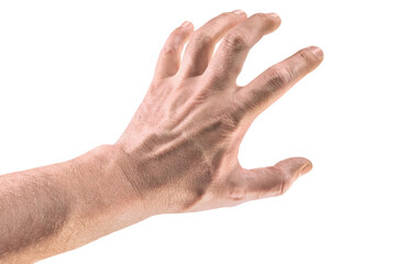 Hand 11