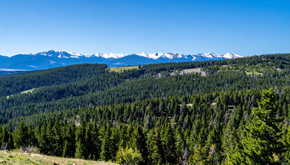 Majestic mountain range capped with snow, rising above a dense evergreen forest under a clear blue sky. Ideal for nature, travel, or adventure concepts.