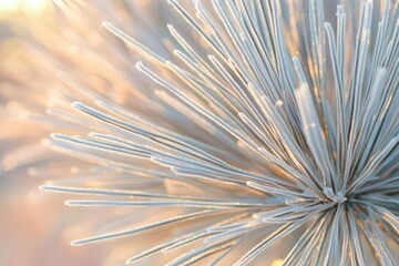 Frost-covered plant details, showcasing delicate icy needles in soft sunlight.